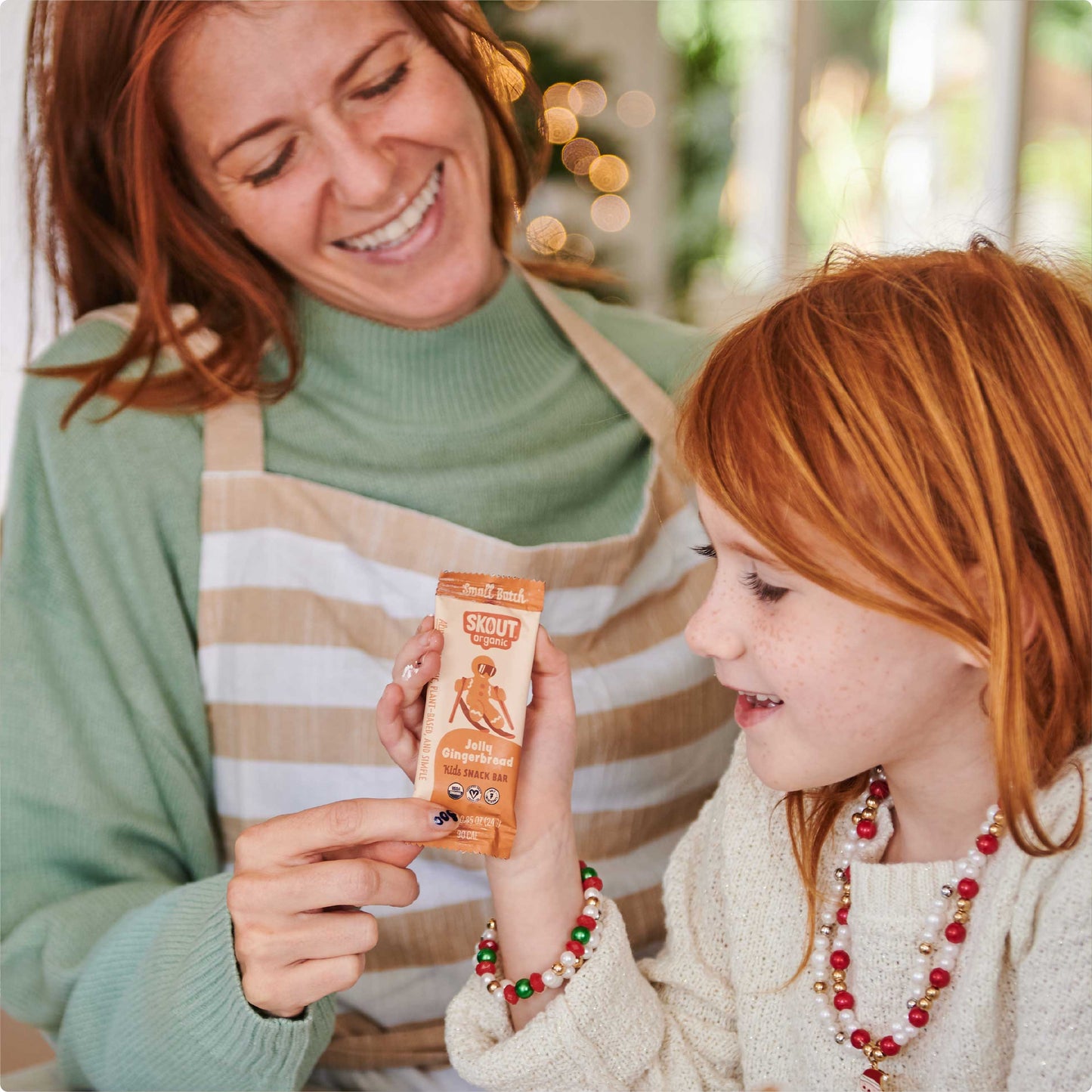 Skout Organic Jolly Gingerbread Kids Snack Bar - Seasonal!