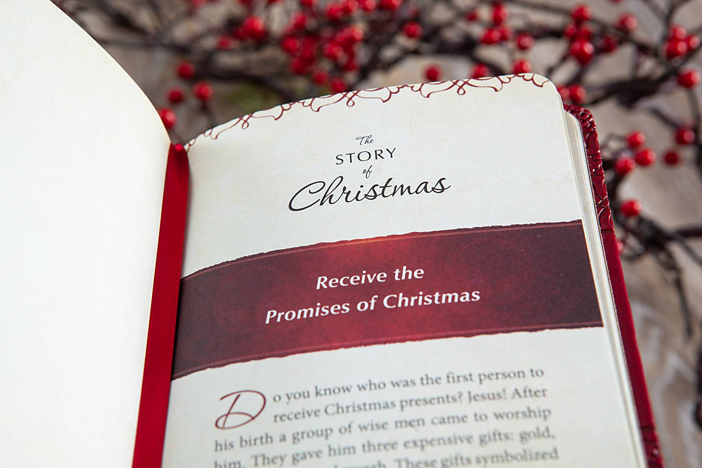 The Story of Christmas (Advent Devotional, )