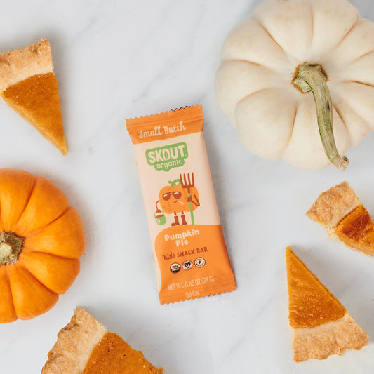 Skout Organic Pumpkin Pie Kids Snack Bar - Seasonal!