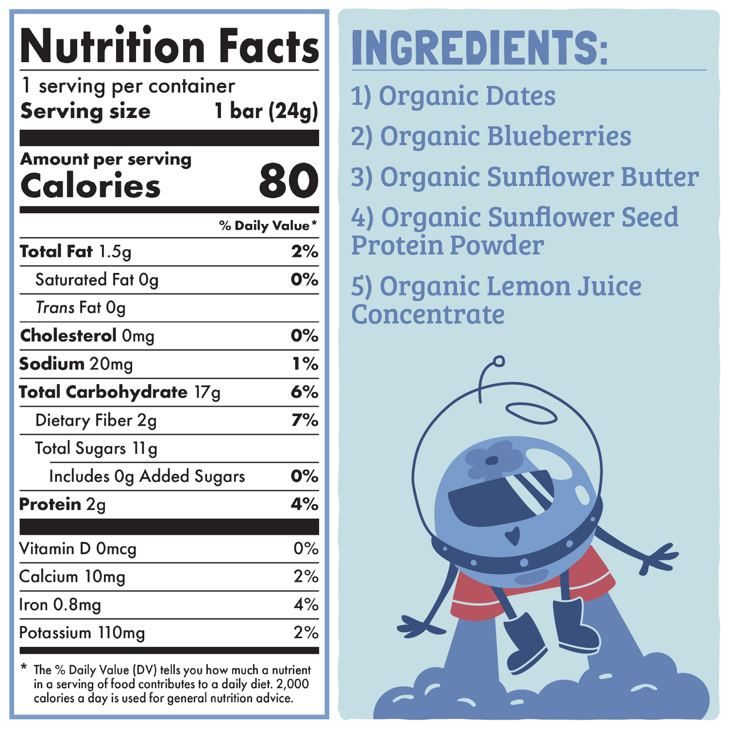 Skout Organic Blueberry Blast Kids Snack Bar | Nut-Free