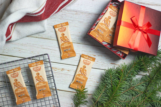 Skout Organic Jolly Gingerbread Kids Snack Bar - Seasonal!