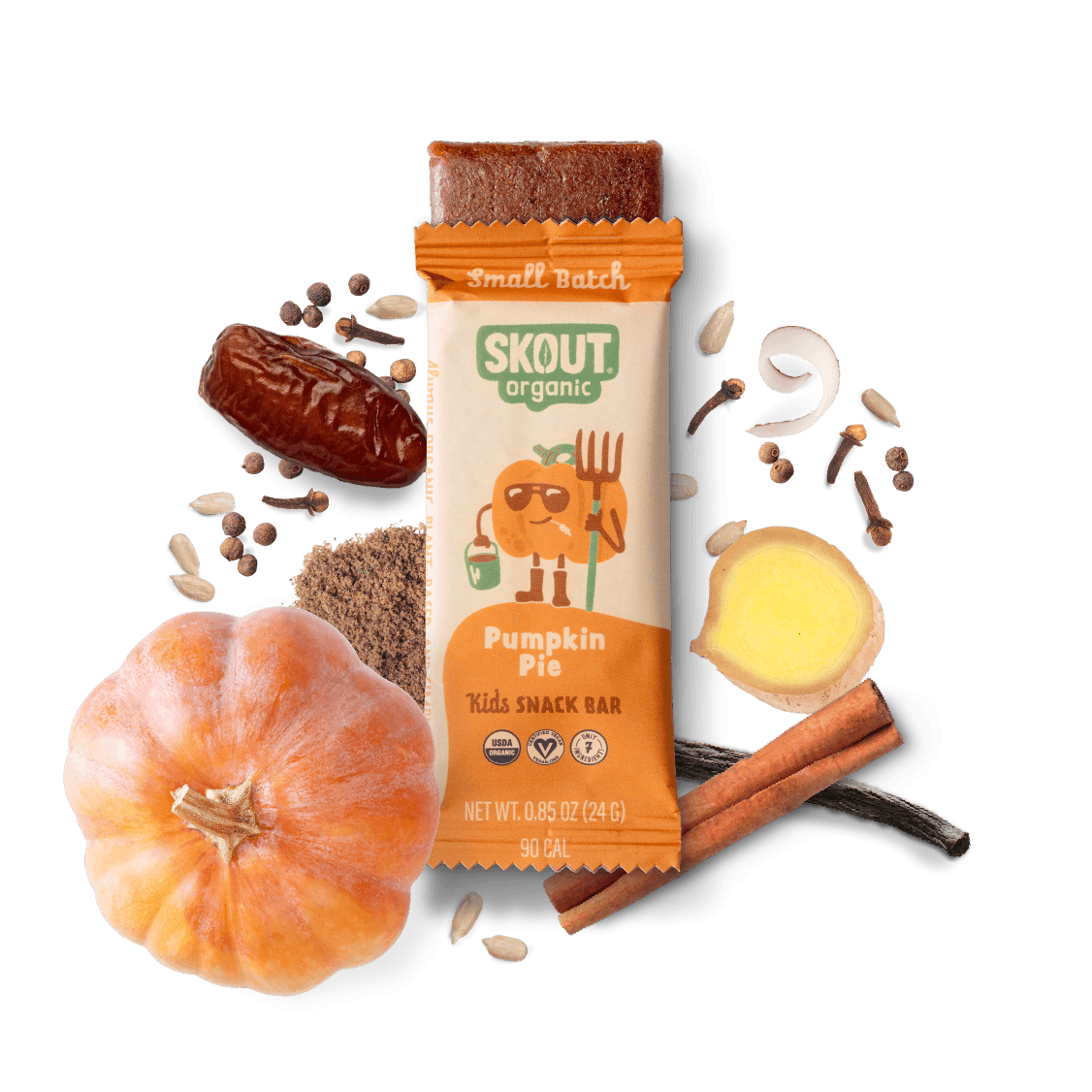 Skout Organic Pumpkin Pie Kids Snack Bar - Seasonal!