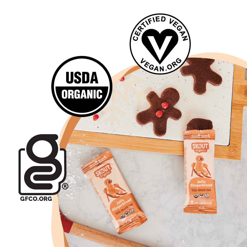 Skout Organic Jolly Gingerbread Kids Snack Bar - Seasonal!