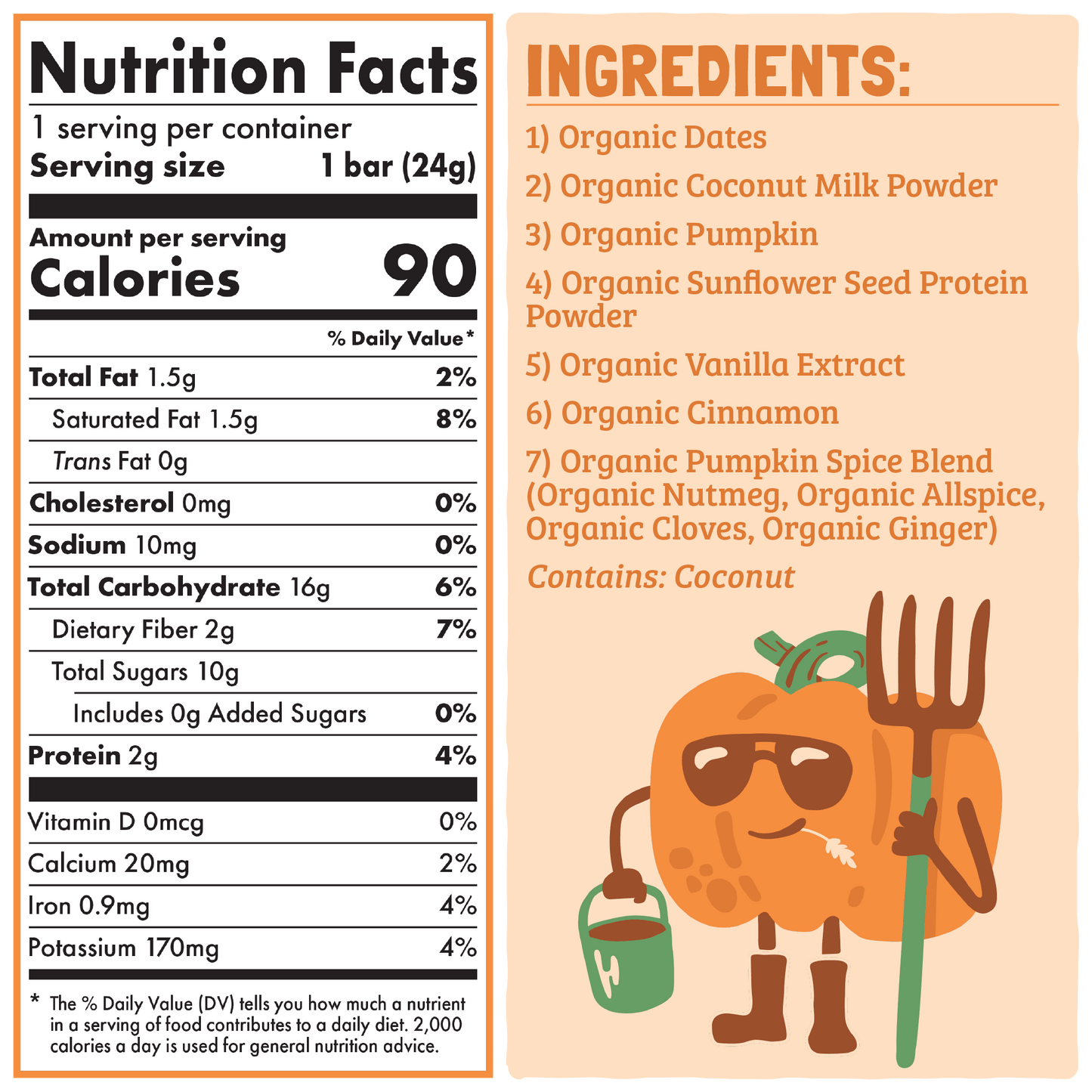 Skout Organic Pumpkin Pie Kids Snack Bar - Seasonal!