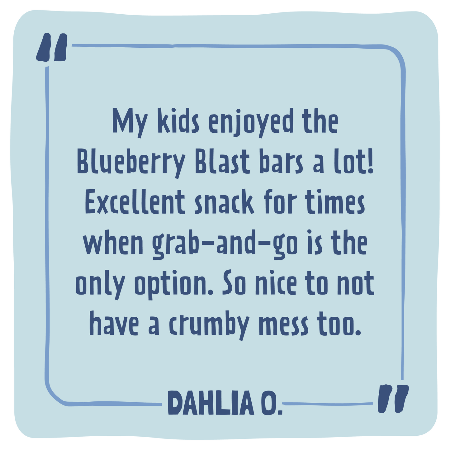 Skout Organic Blueberry Blast Kids Snack Bar | Nut-Free